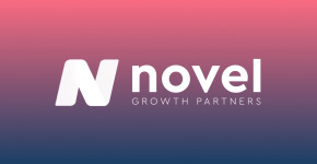 Novel