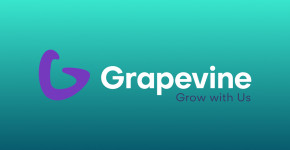 Grapevine