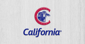 Compañía California
