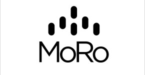 Modular Robotics