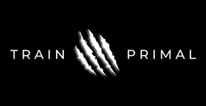 Train Primal