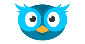 Practice Owl
