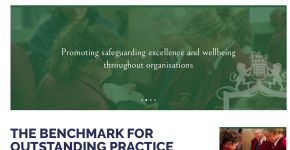 The Safeguarding Alliance