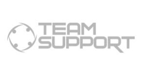 Team Support