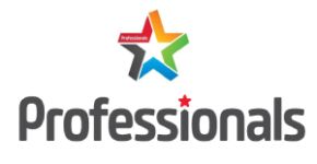 Professionals Real Estate
