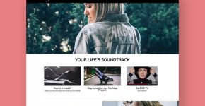 Earbox Wear