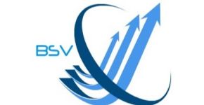 BSV consulting