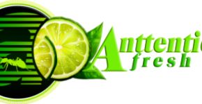 Anttention Media Africa