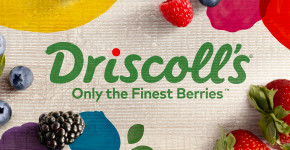 Driscoll's
