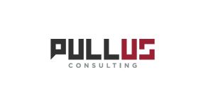 Pullus Consulting