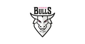 Ayrshire Bulls