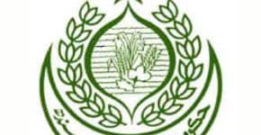 Govt. of Sindh
