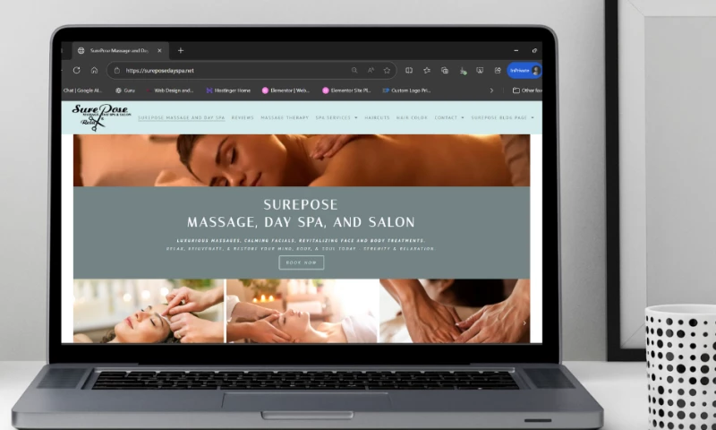 Lion Swag Web Design - Photo - 2
