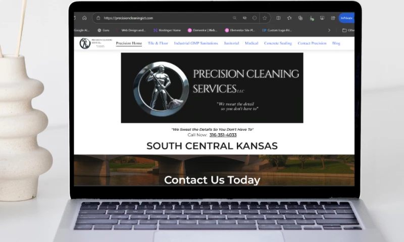 Lion Swag Web Design - Photo - 3