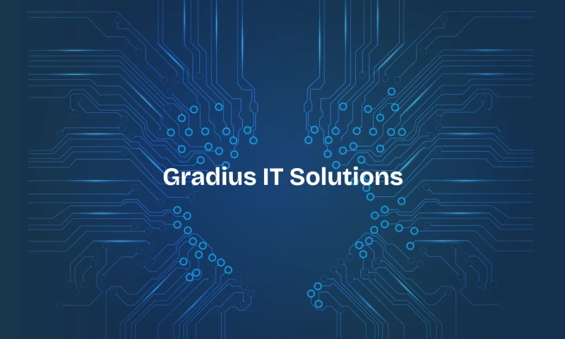 Gradius IT Solutions - Photo - 2