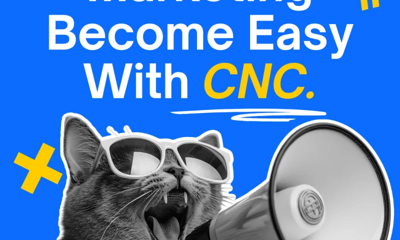 Code N Clicks IT Solutions - Photo - 3