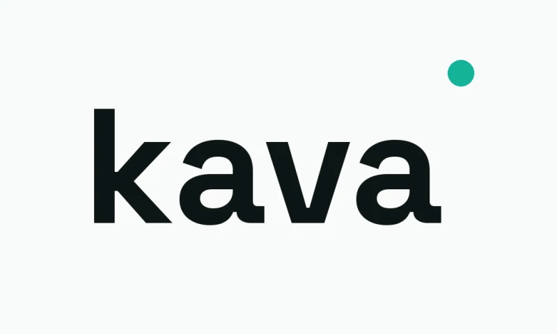 Kava Digital Marketing - Photo - 2