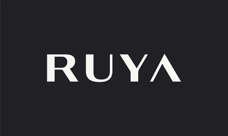 ruya global - Photo - 2