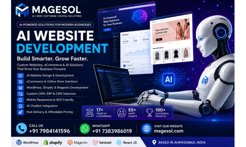 Magesol Software Company - Photo - 2