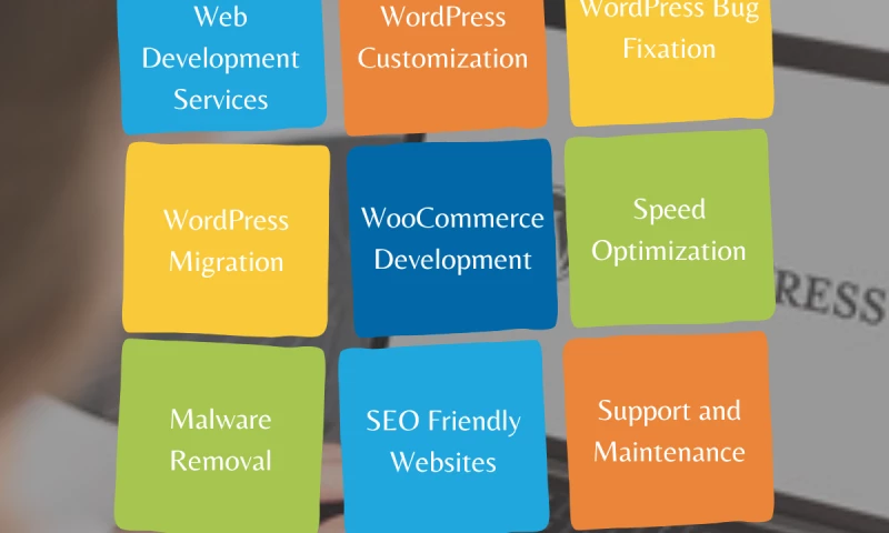 Kinsh Technologies - Photo - 2