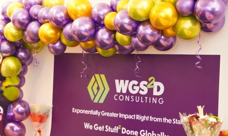 WGS2D Consulting - Photo - 3