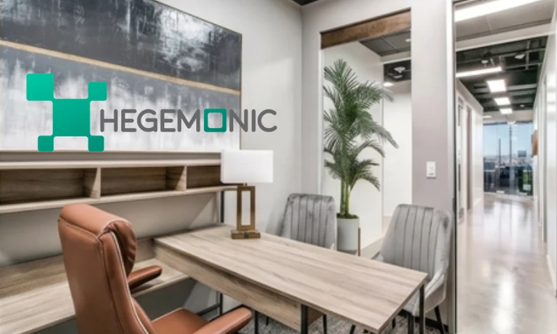 Hegemonic Inc - Photo - 3