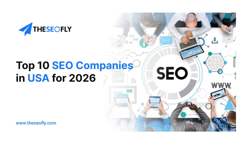 The SEO Fly - Photo - 2
