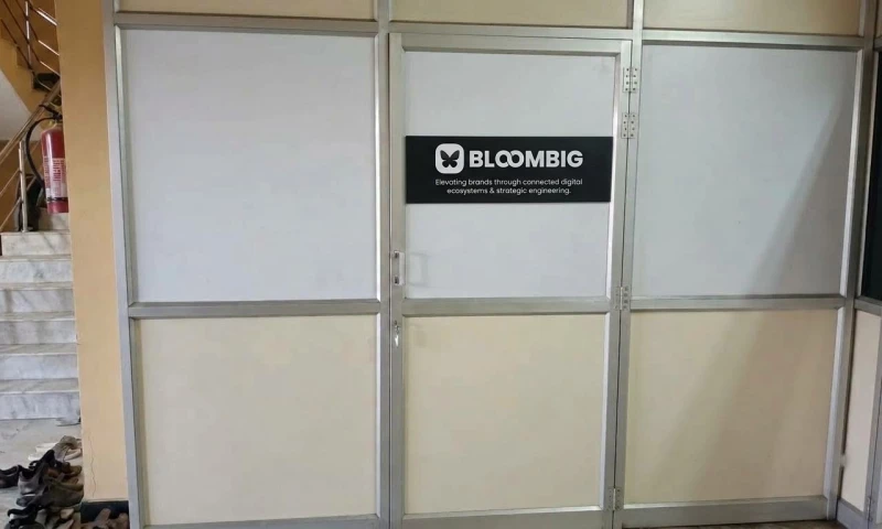 BloomBig - Photo - 3