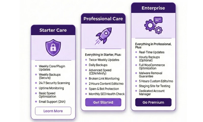 Website Maintenance Services - Photo - 3