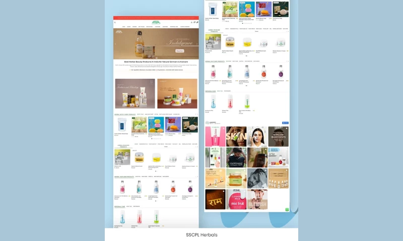 Web Whale - Photo - 3