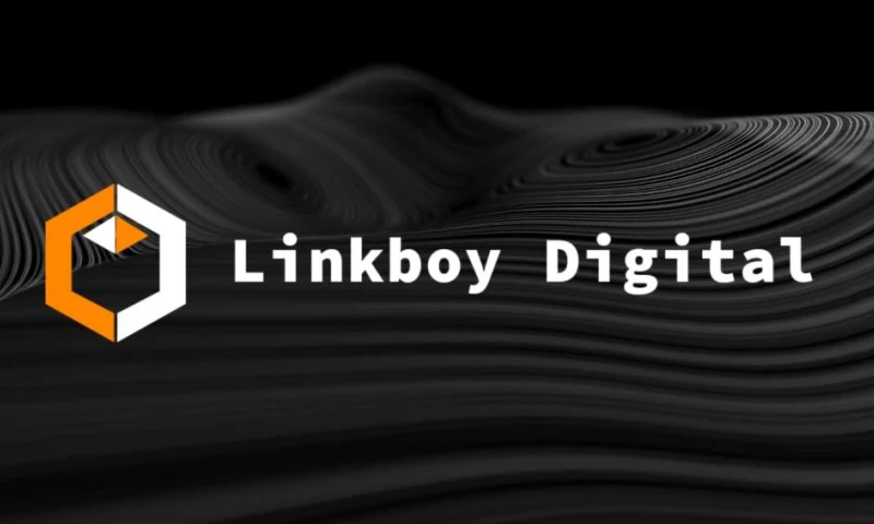 Linkboy Digital - Photo - 3