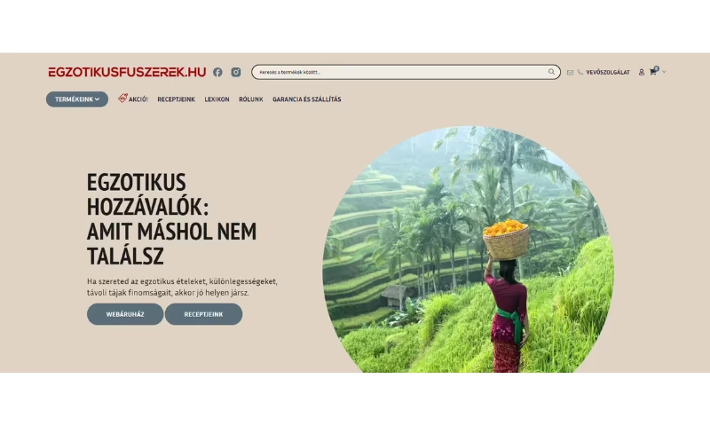 WebPot DEV - Photo - 2