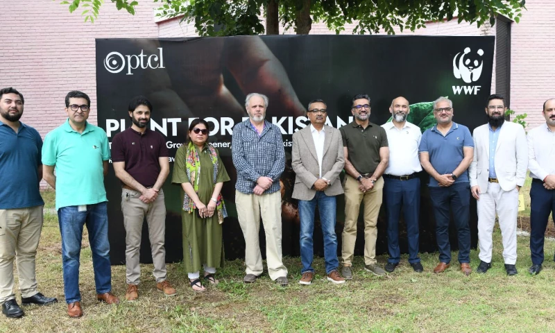 PTCL - Photo - 3