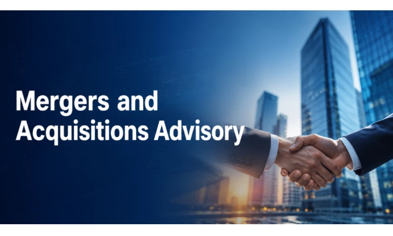 EzyBiz India Consulting LLP - Photo - 3