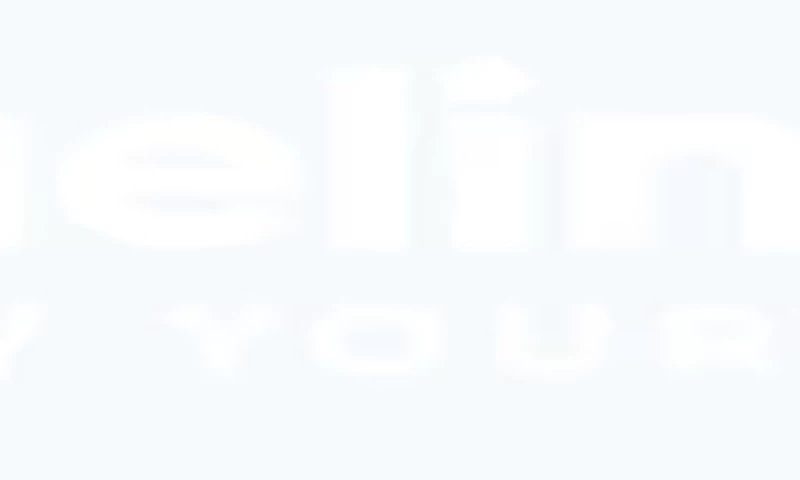 bluelineseo - Photo - 2