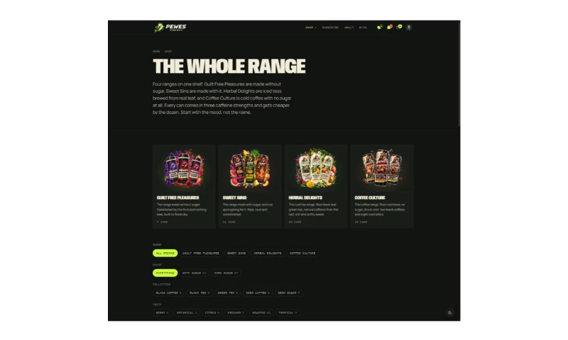 Pavels Web Solutions - Photo - 2