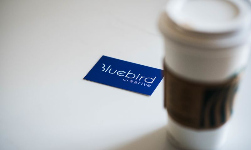 Bluebird Creative - Photo - 1