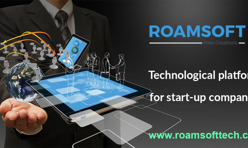 Roamsoft Technologies Pvt Ltd - Photo - 3