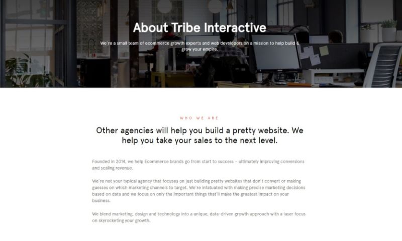 Tribe Interactive - Photo - 1