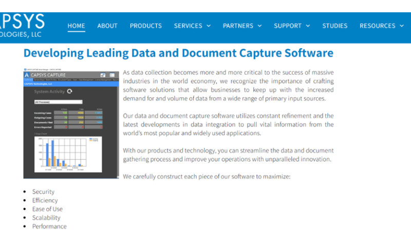 Capsys Technologies Reviews and Clients | DesignRush