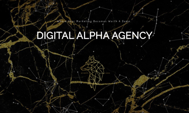 Digital Alpha Agency - Photo - 3