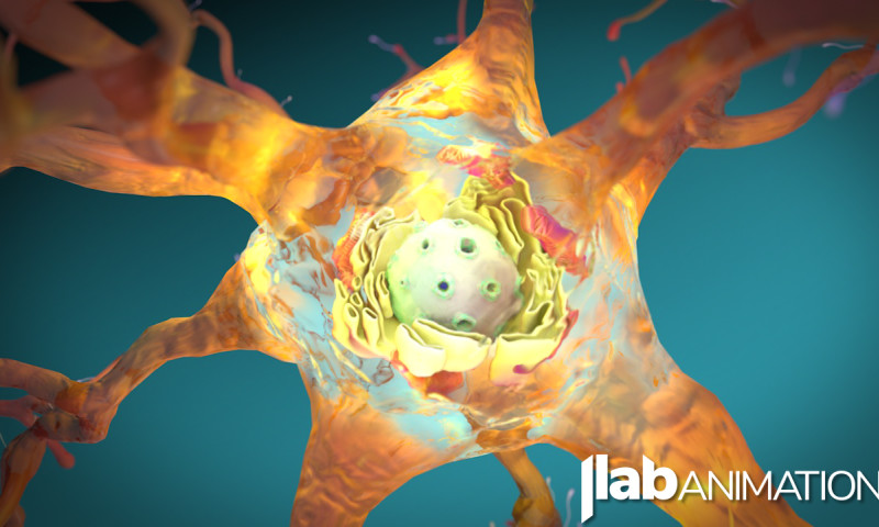 JLab Animation - Photo - 1