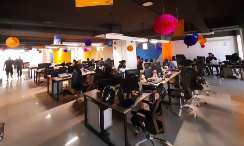 Vivasoft Reviews and Clients | DesignRush