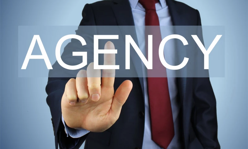 Reqular Ukraine QA agency 𝐓𝐡𝐞 𝐁𝐫𝐚𝐧𝐝𝐢𝐧𝐠 𝐁𝐚𝐛𝐞 - Photo - 2