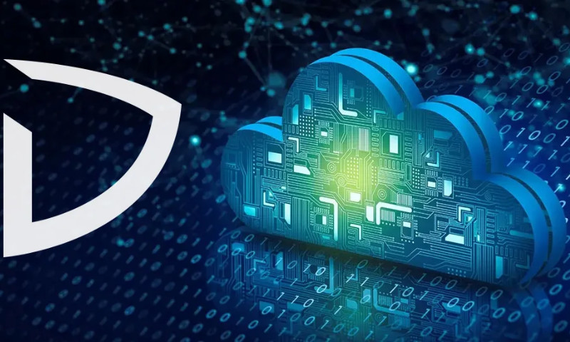 DigVel International - Photo - 3