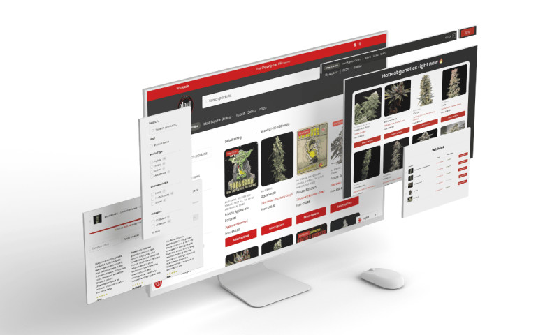 Avo Digital LTD - Photo - 2