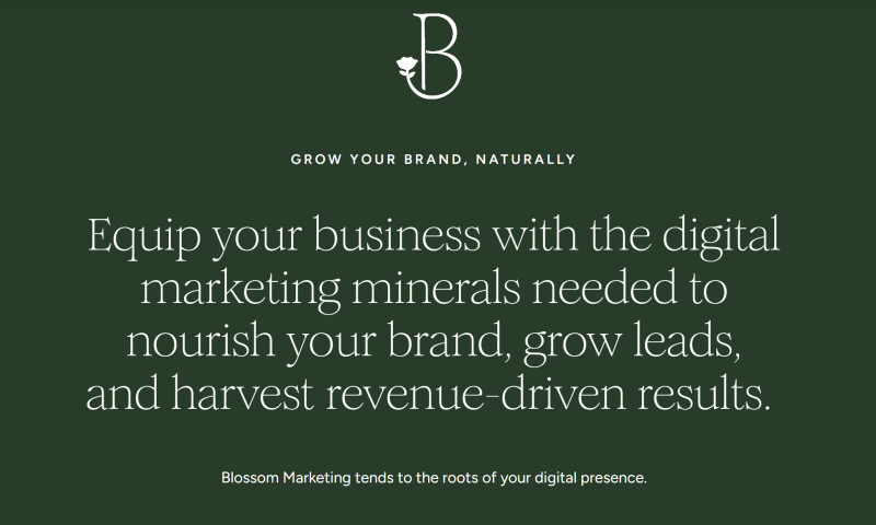 Blossom Marketing - Photo - 3