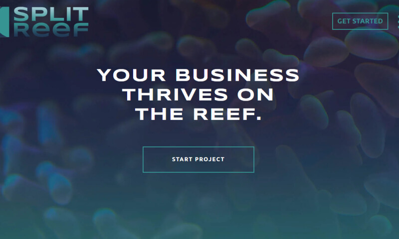 Split Reef - Photo - 3