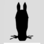 Henrik Movinkel Berger