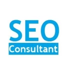 SEO Services India SEO Company India Delhi